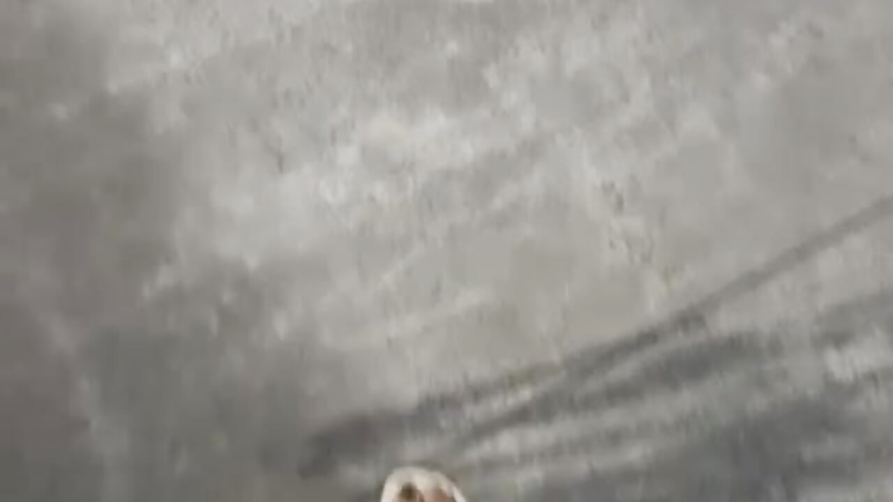 🤤Feet🤤 - video by Emily_brown04 cam model