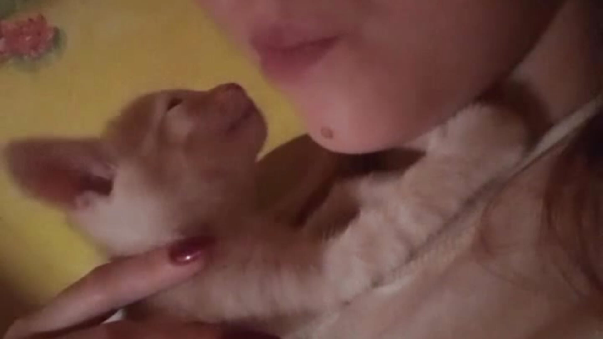 Me and my pussy - video by CloverDrews cam model