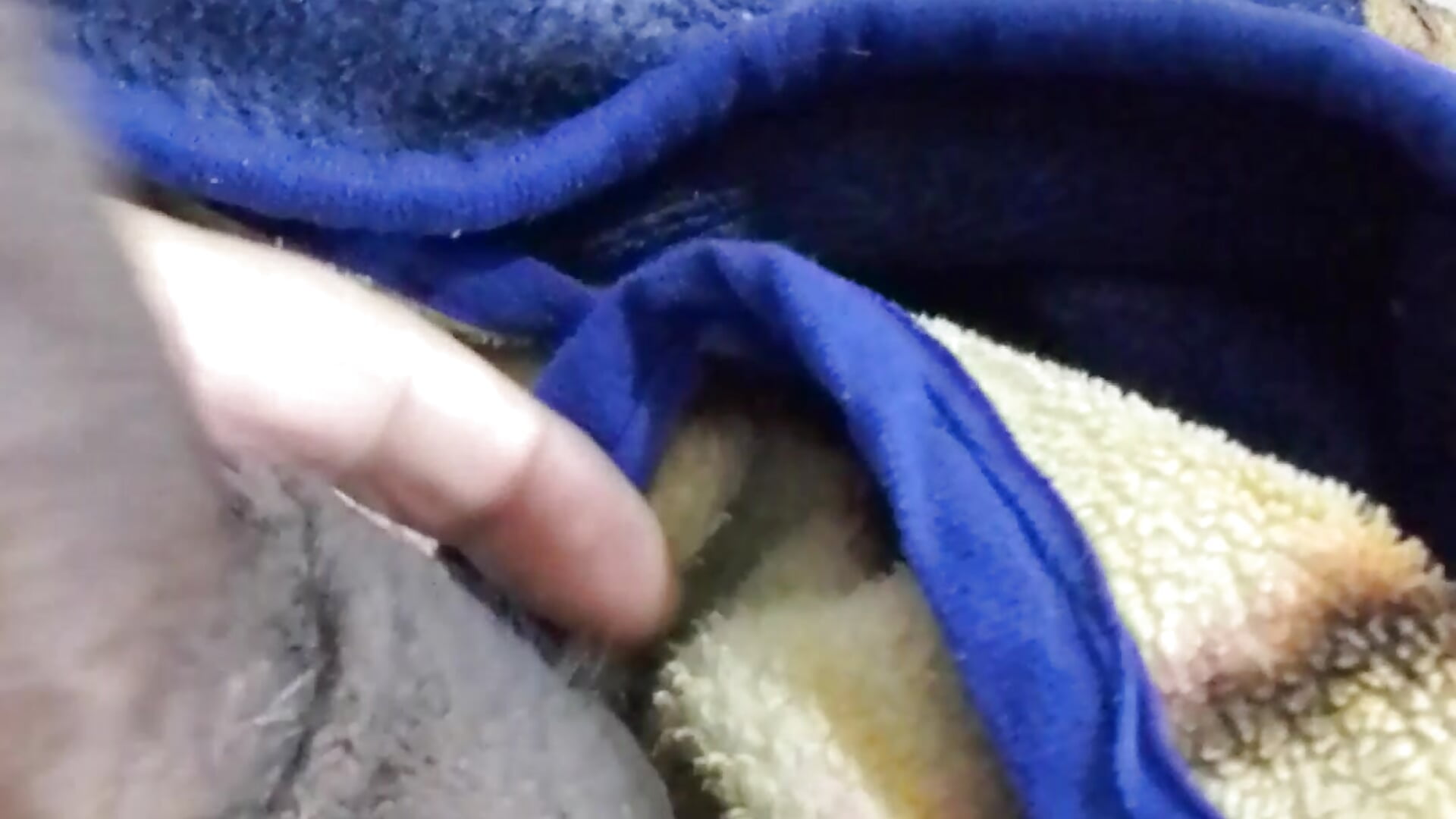 VID_20250531_212737 - video by Profe_Carlin26 cam model