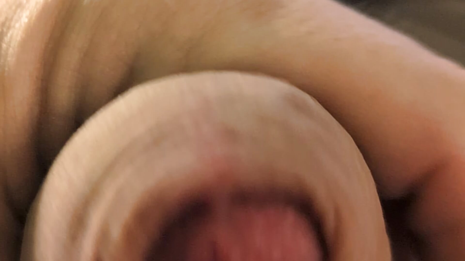 Nice little stroke - video by ZerokarismA cam model