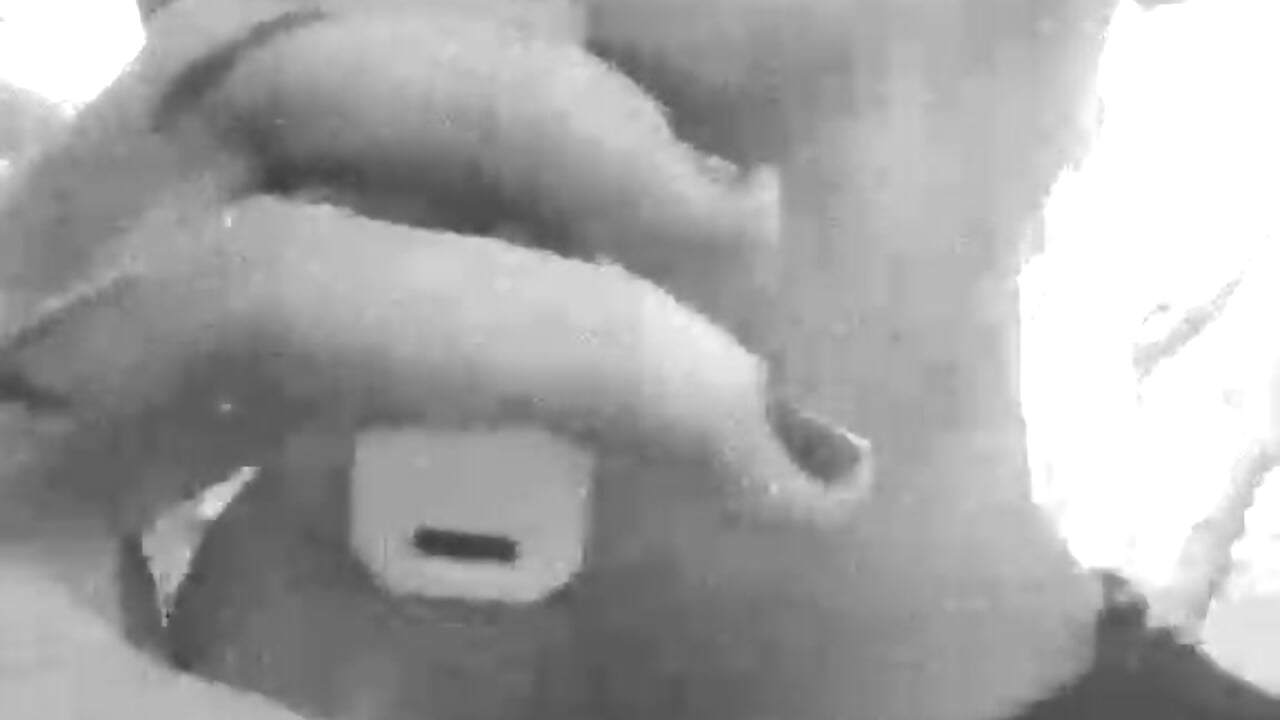 ☝🤓 - clip cu _realwav model videochat
