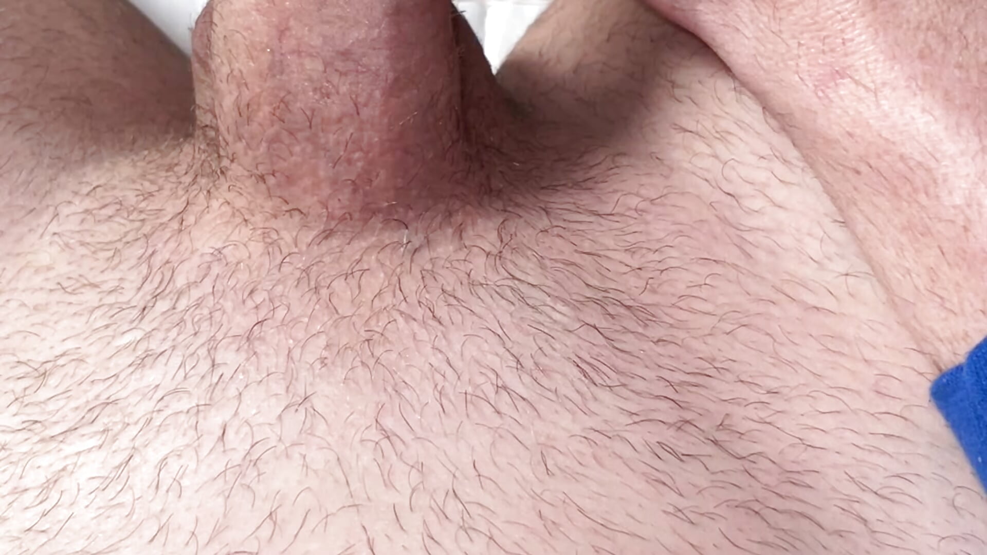 Me and the neighborhood - video by SilentLukas cam model