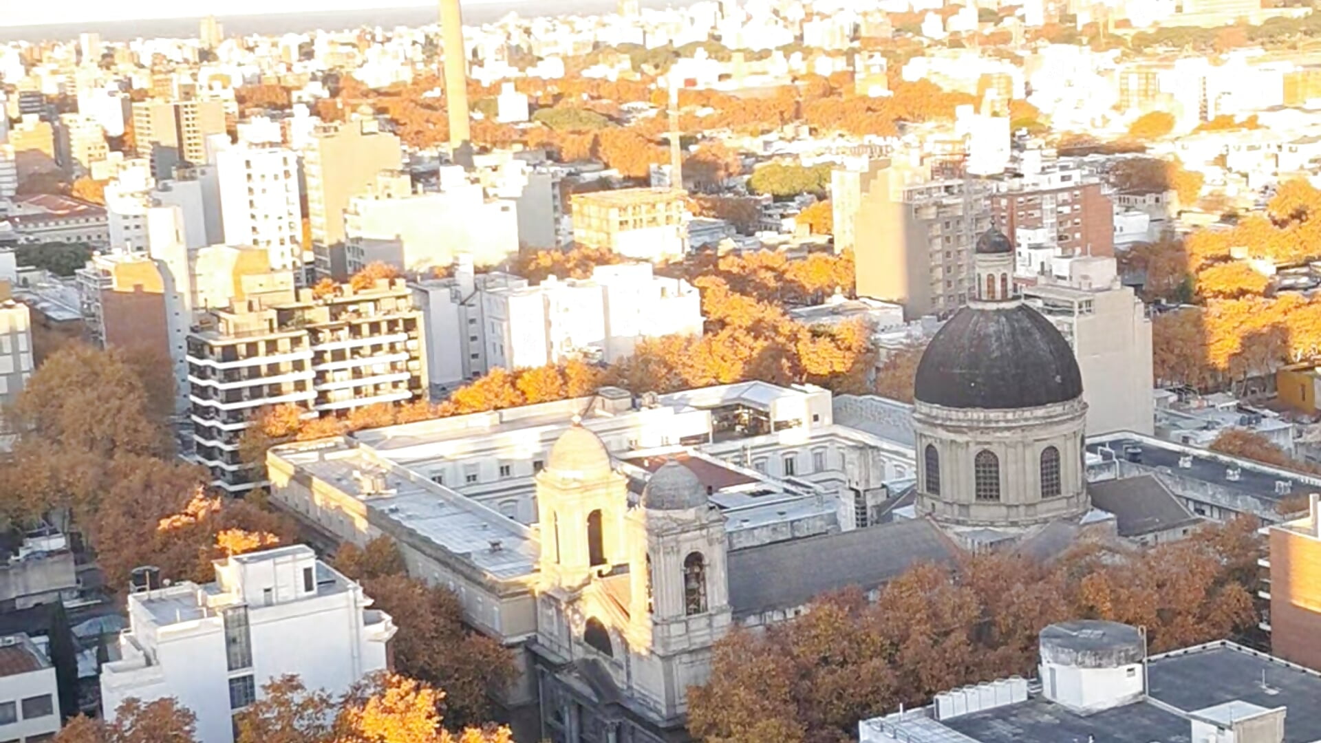 1000137794 - video by Sgaf39 cam model