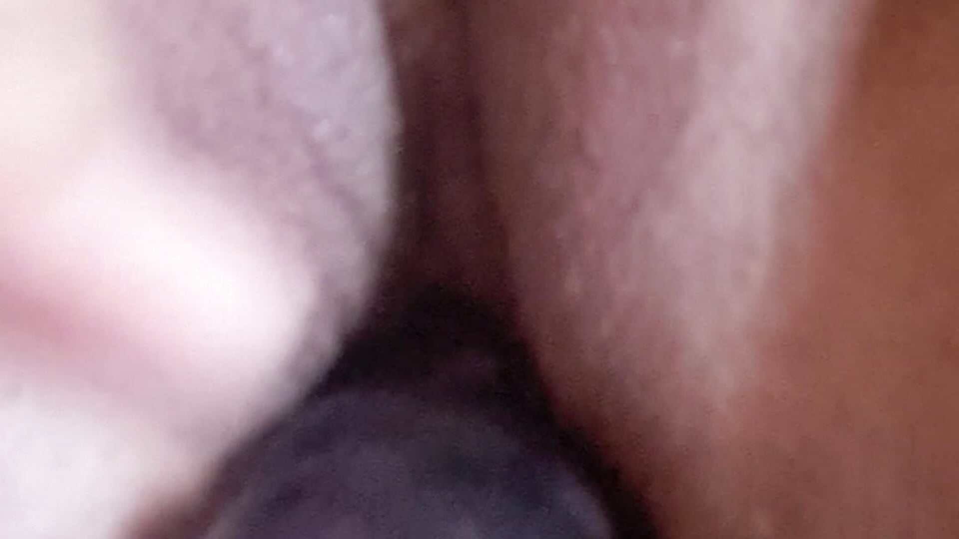 Brincando um pouco – видео вебкам-модели Stef-dlc