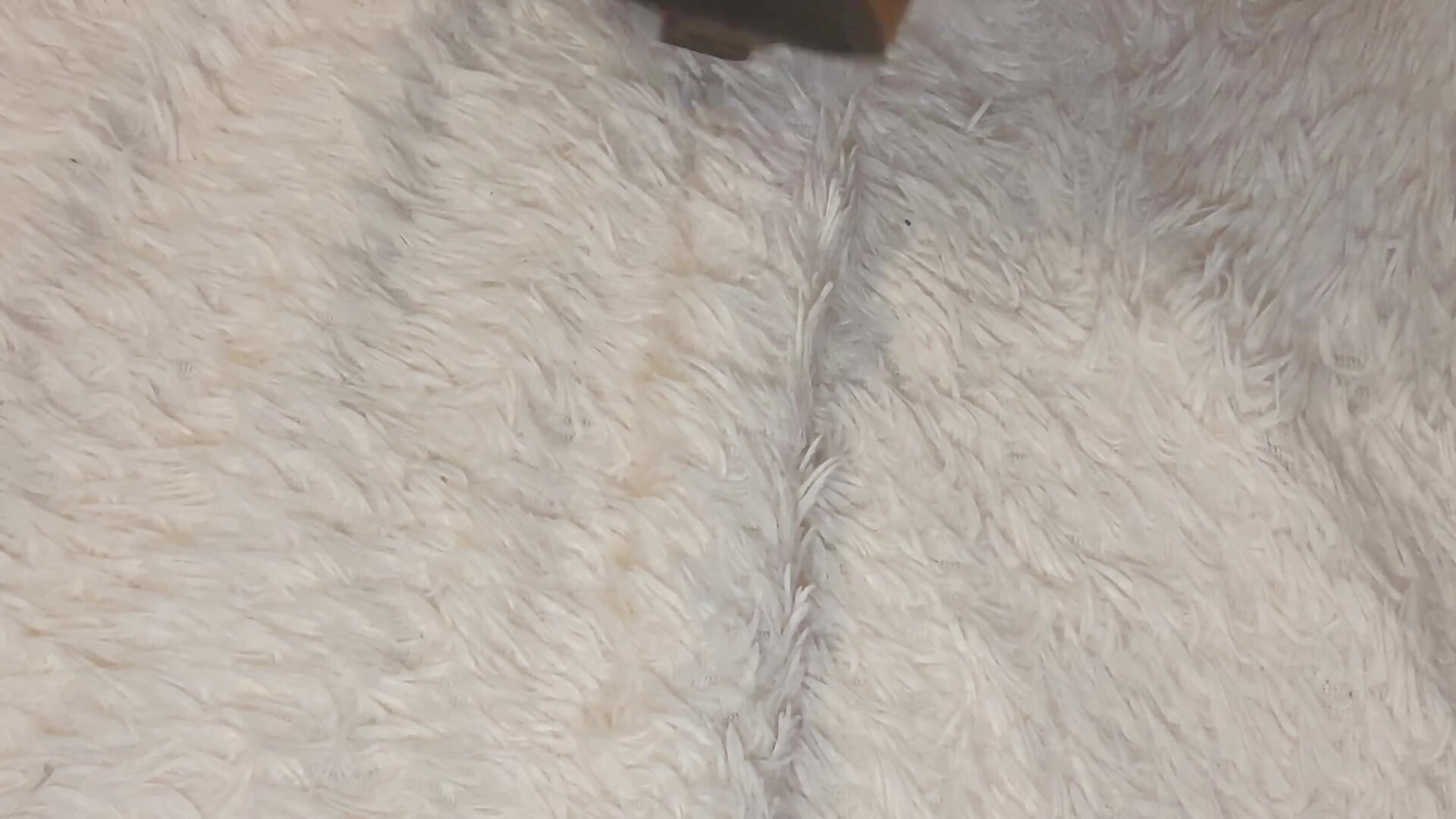 IMG_4890 - video di Maria_Anna_mm modella di cam