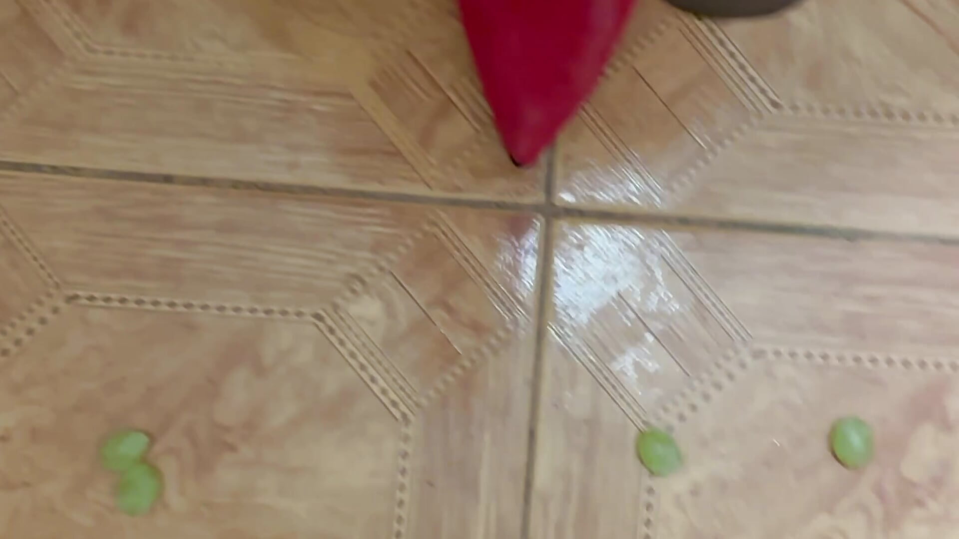 IMG_7643 - Maria_Anna_mm 캠 모델의 동영상