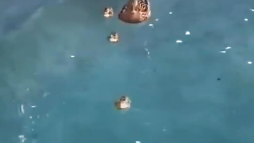 A R O U N D  T H E  W O R L D - video od modelky/modela Atley_Dolly