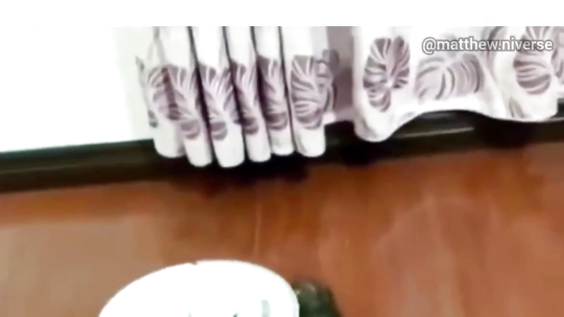 :C - video od modelky/modela Atley_Dolly