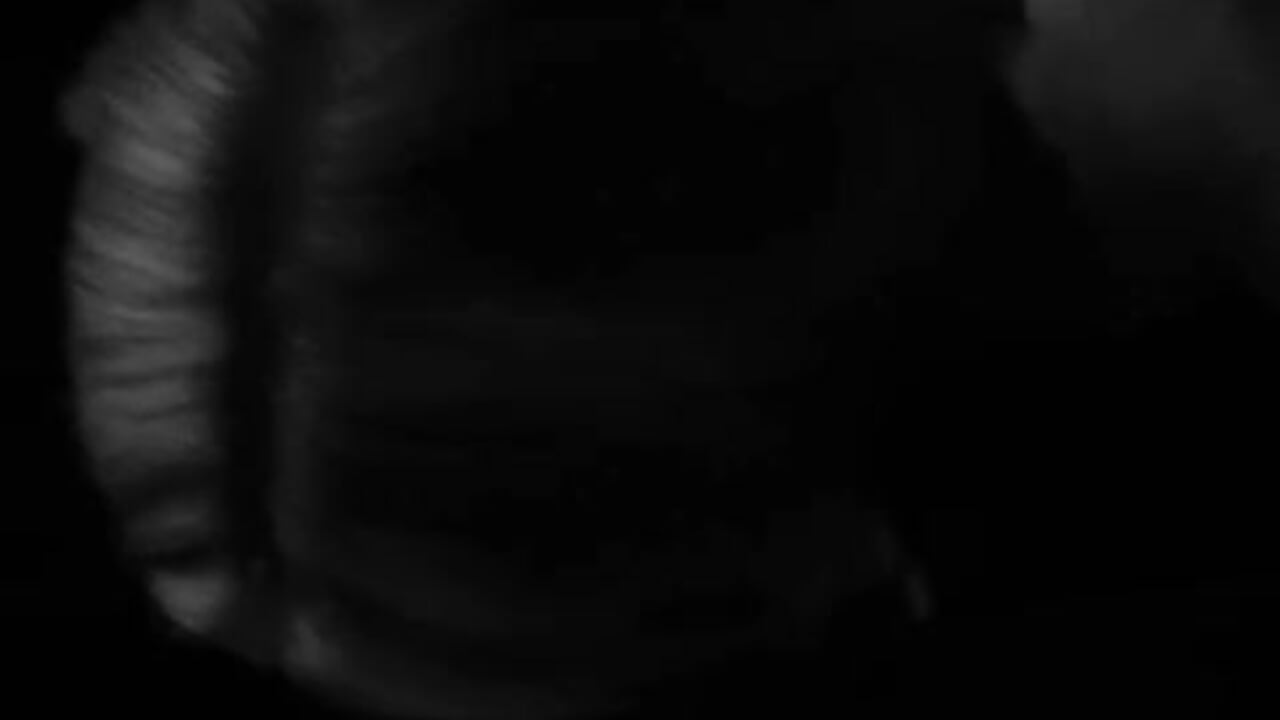 🍆💦 - naughtycoupl98 adlı kamera modelinin videosu