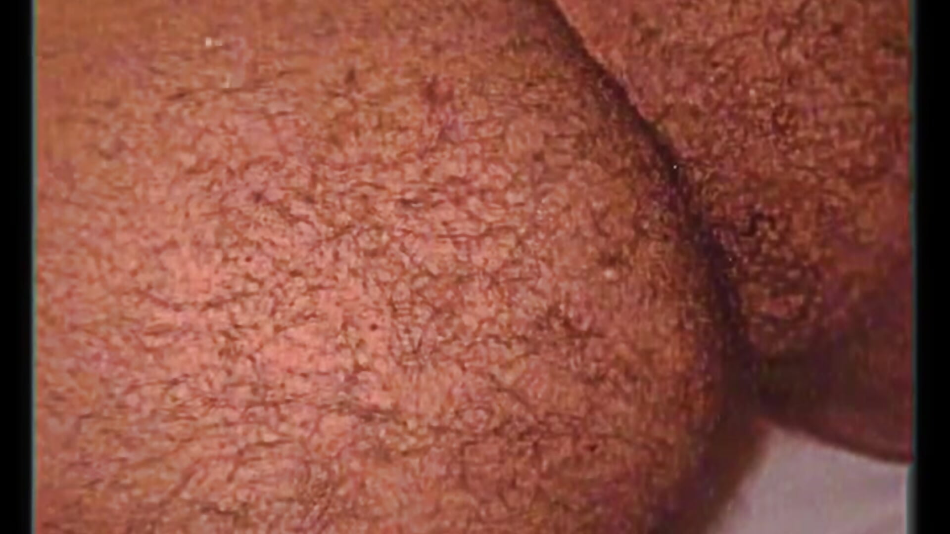 Pretty Hairy 🍑 - video oleh model kamera Prettiboivon