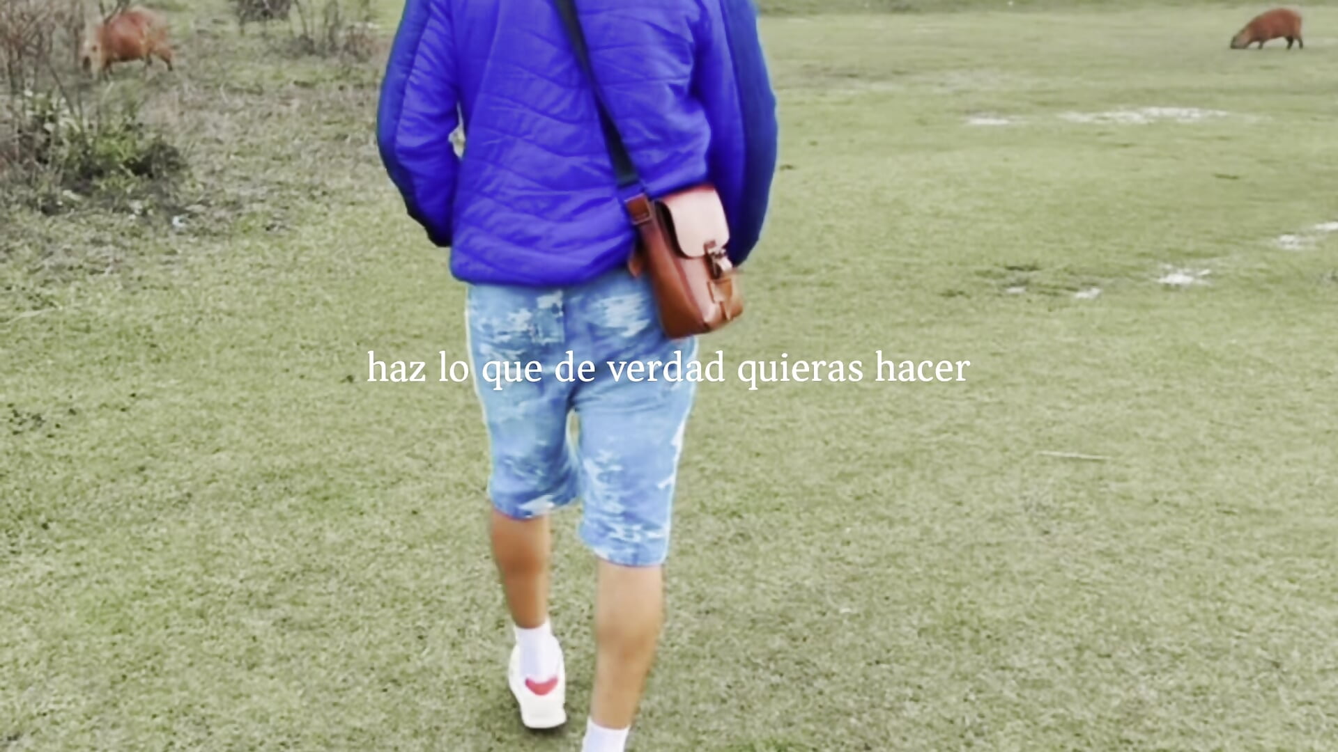 Brasil 🇧🇷 - วิดีโอโดย Paul22cm- โมเดลแคม