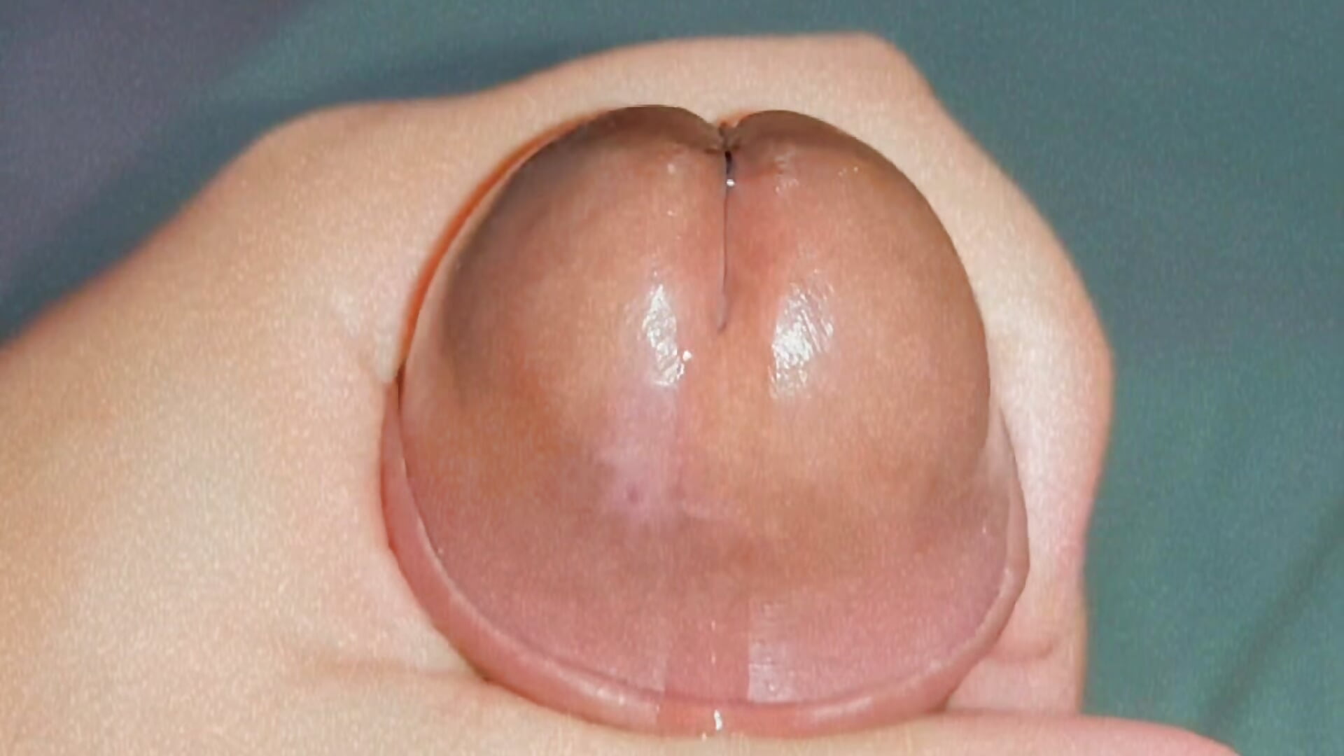 Mel– Napolitano22cm kameramodell videója