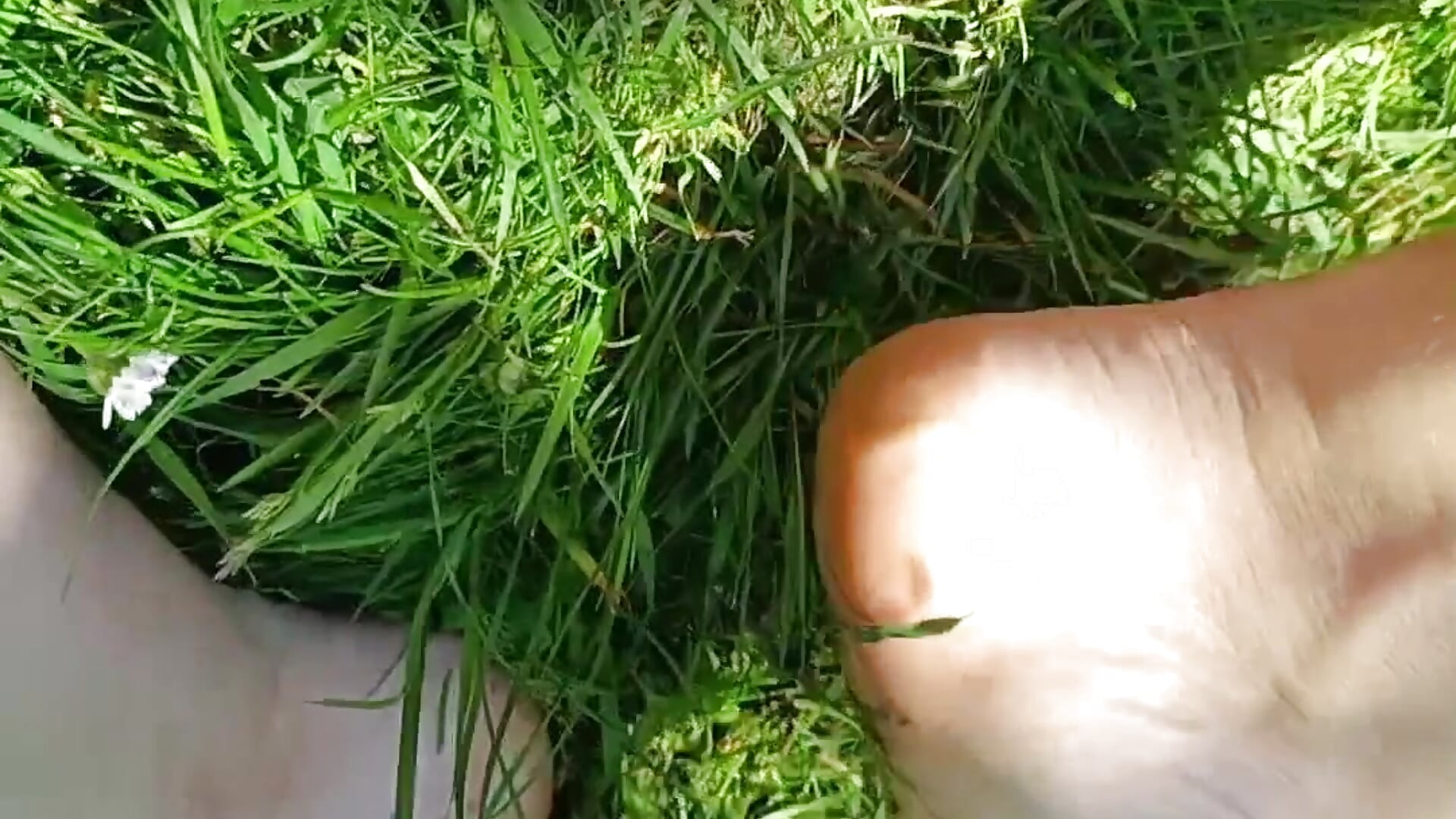 Knie nieder und putz das Gras von meinen Füßen.😈