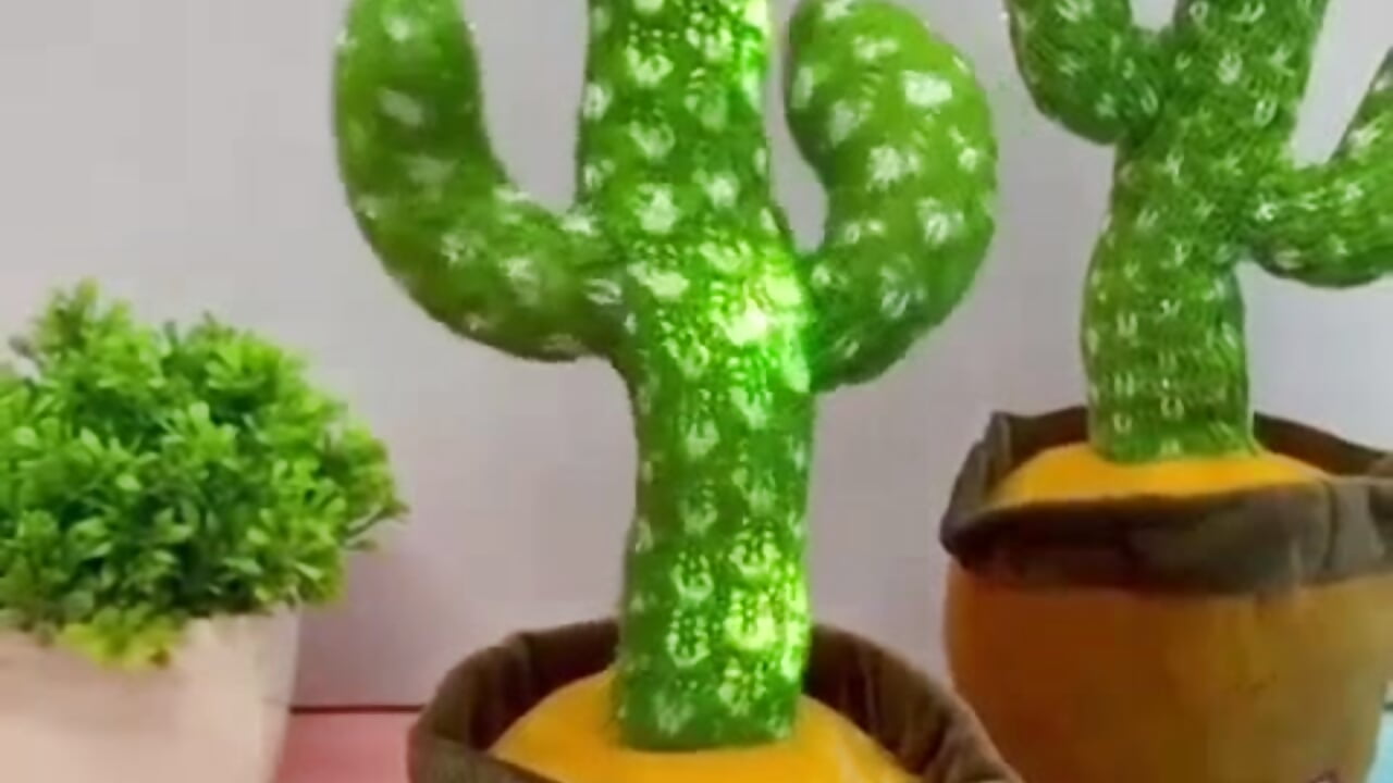 1000046746 - sarkarij adlı kamera modelinin videosu