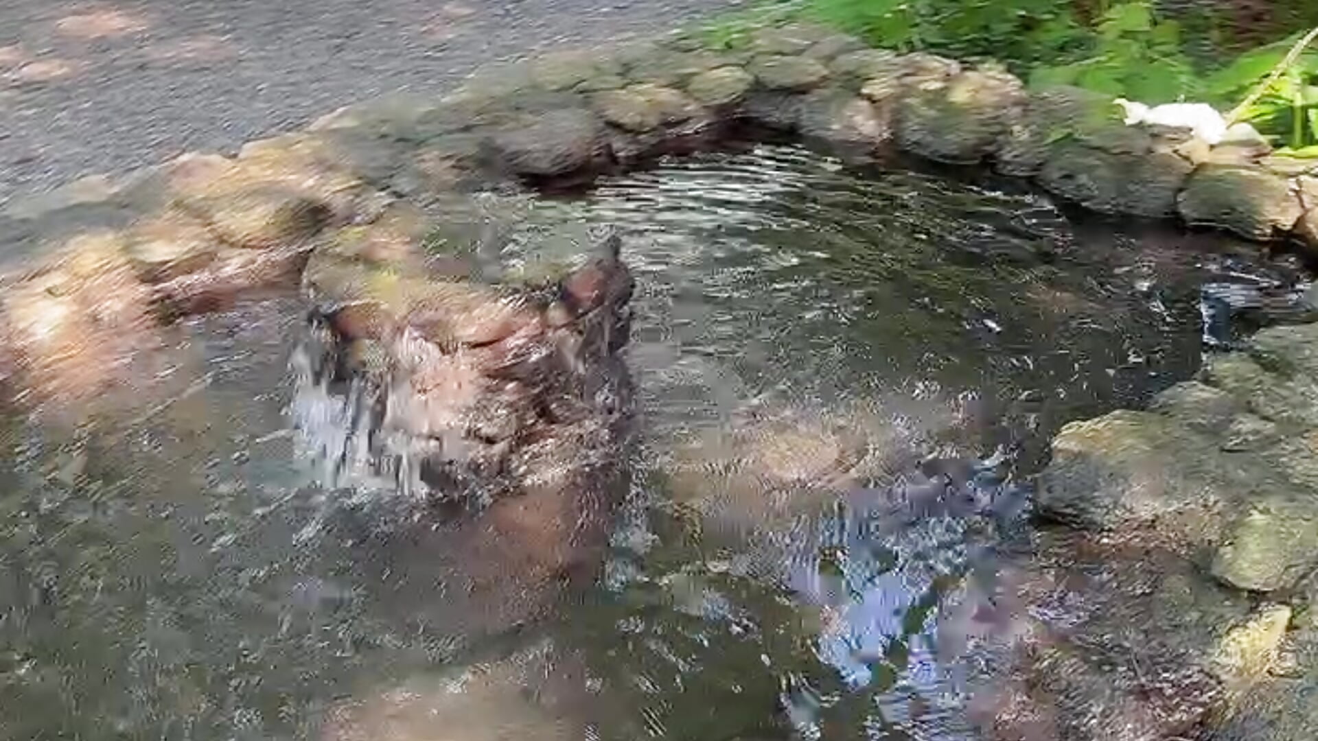 B612 - C-4bomb 캠 모델의 동영상