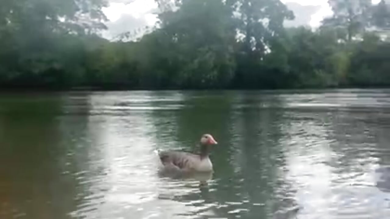 My new friend - video by Mrs-Ivy cam model