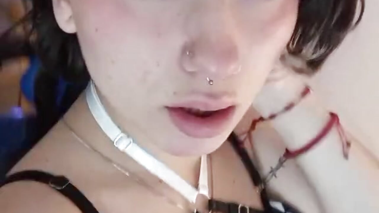 🤍🖤
