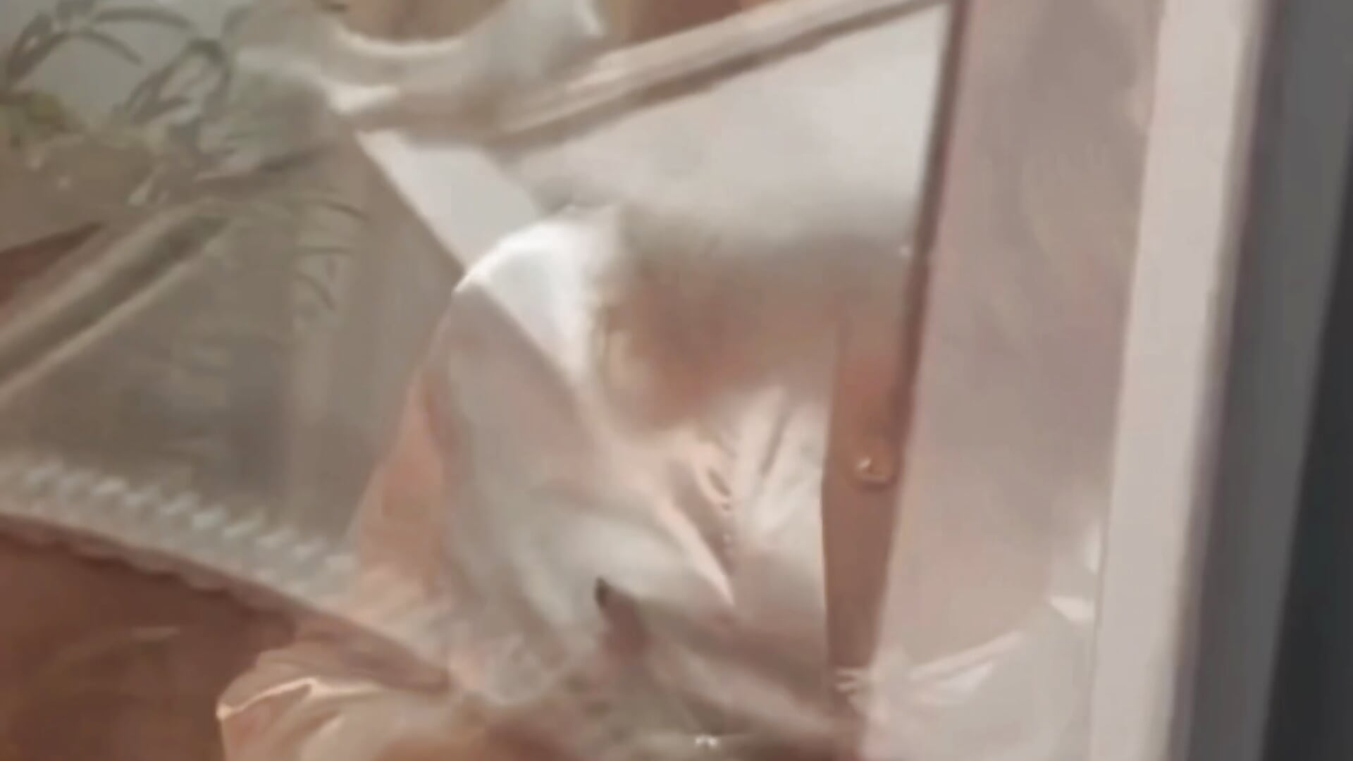 The last day of innocence🪽 - video by RussianCutieBaby cam model