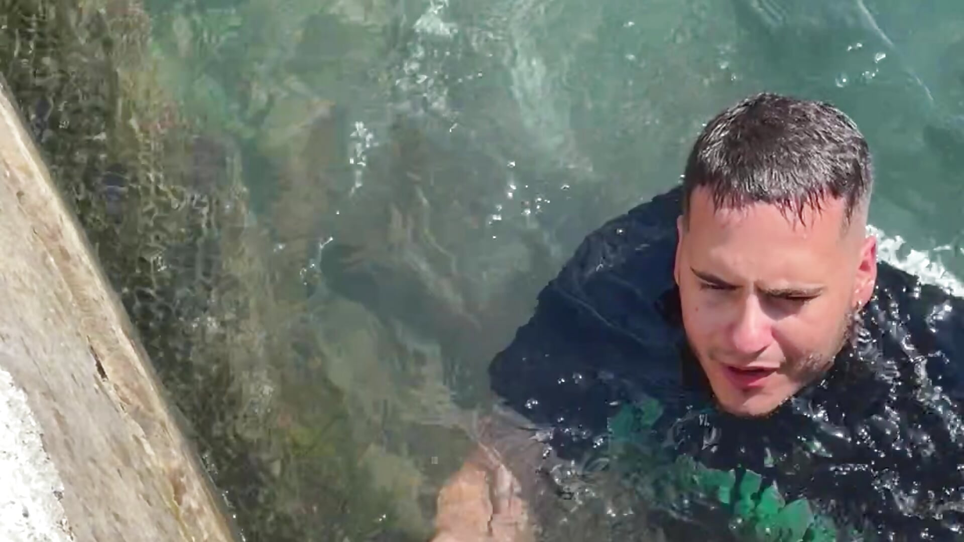 Ocean 🌊🐢 - video av Pablo_EscobarGomez cam model