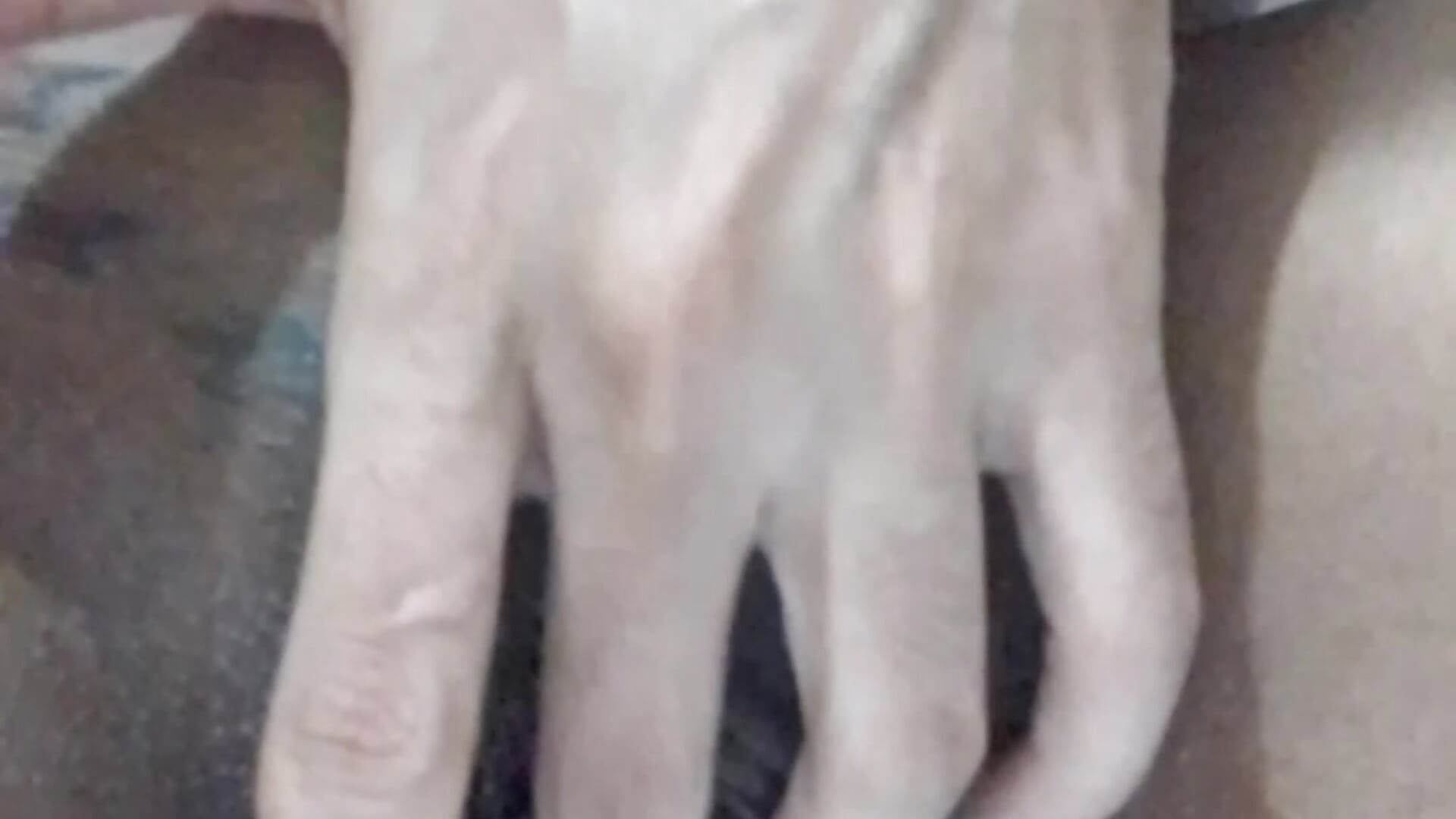 gozo/ppk para boca - video di RavenShyfit modella di cam