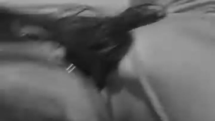 do you want to play? - vidéo du modèle de showcams Novalewis_