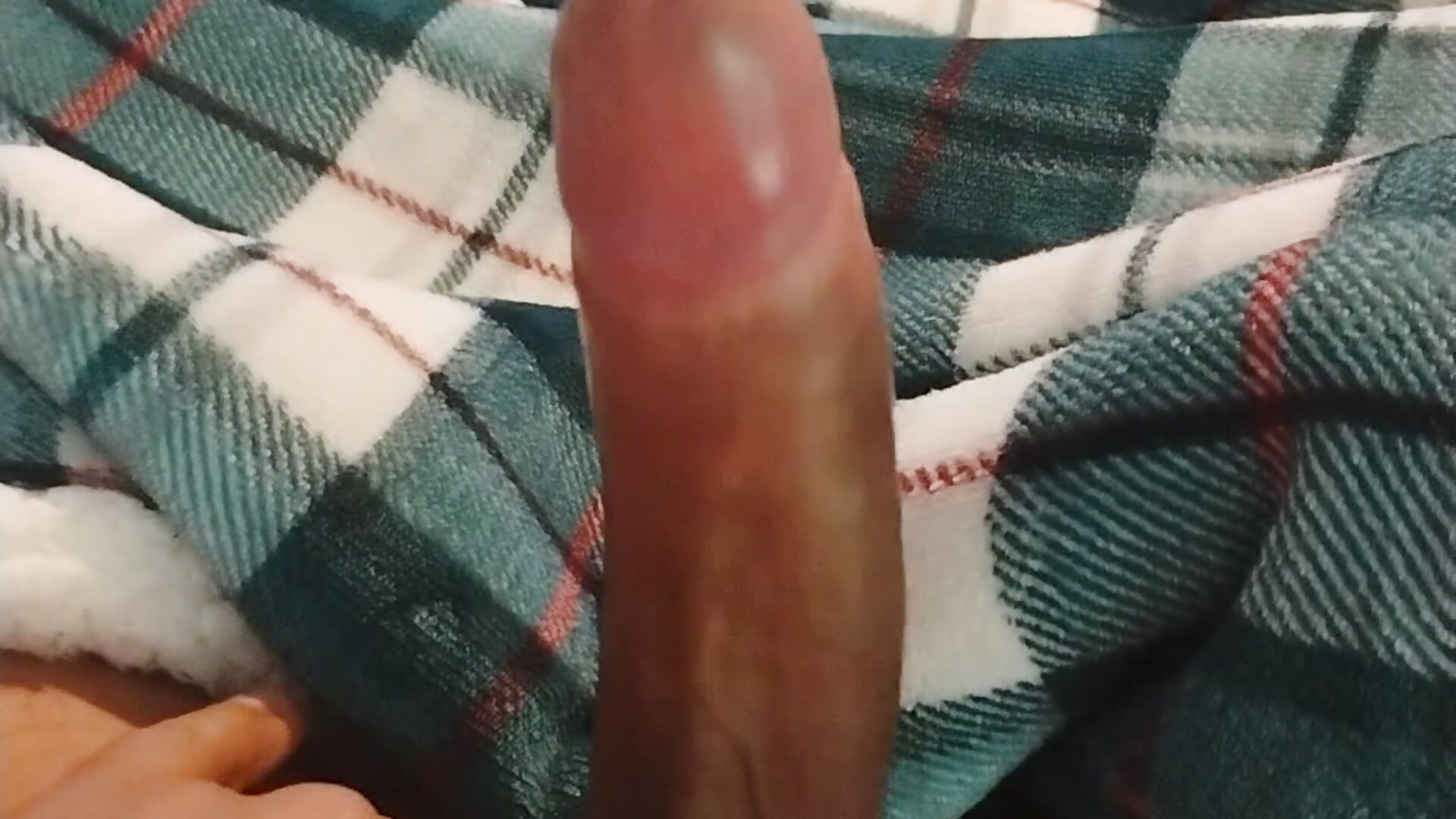 Horny - ক্যাম মডেল elpapi1982-এর ভিডিও