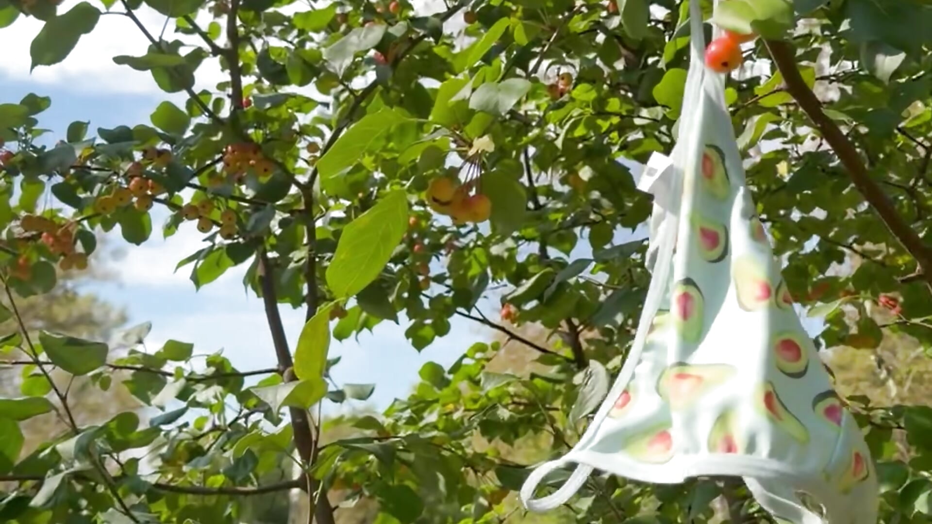 panties on a tree! 🌿👙 - Video von EvvaMur Cam-Model