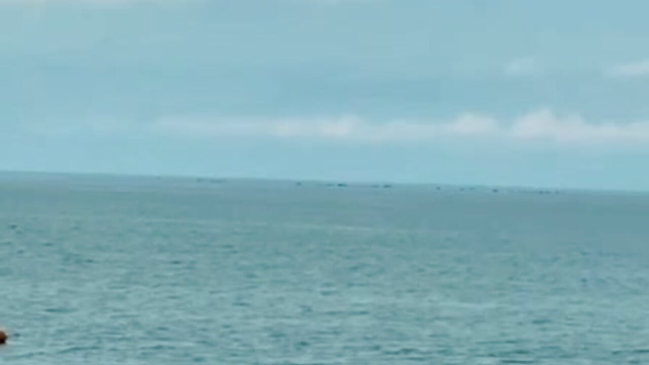 Me and the sea 💙－カメラキャストのKarolinaConnerの動画