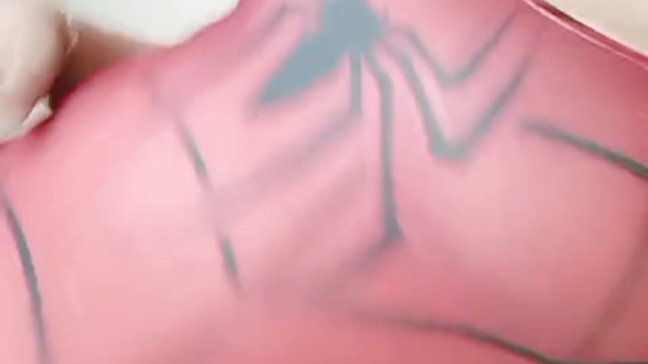 Spider Girl's got you trapped—want to see what happens when you play with danger? - video by SophiaSummer cam model