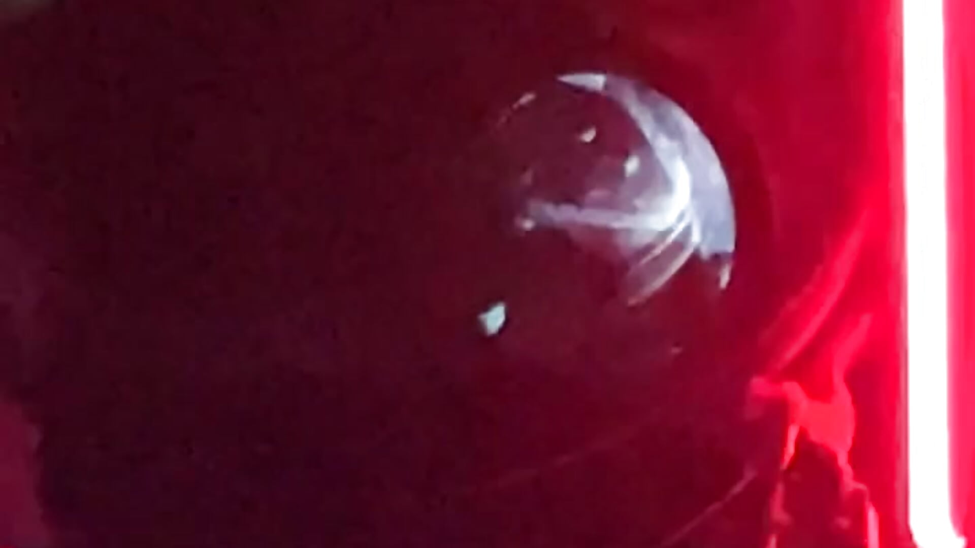 My Setup🎥 - فيديو من sebirp موديل الكام