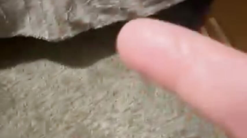 77648988601__2096D0B2-D7CC-484E-B8EC-BE428EC3EE16 – видео вебкам-модели kelvin971011