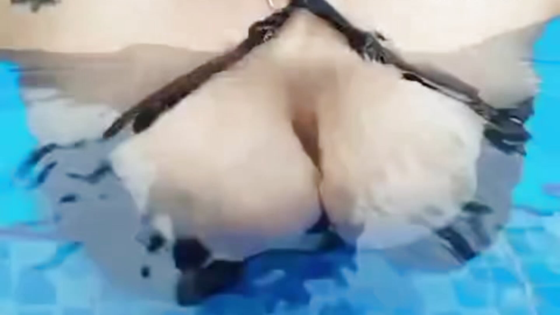 👀😶‍🌫️💦 - วิดีโอโดย victoria_giraldo โมเดลแคม