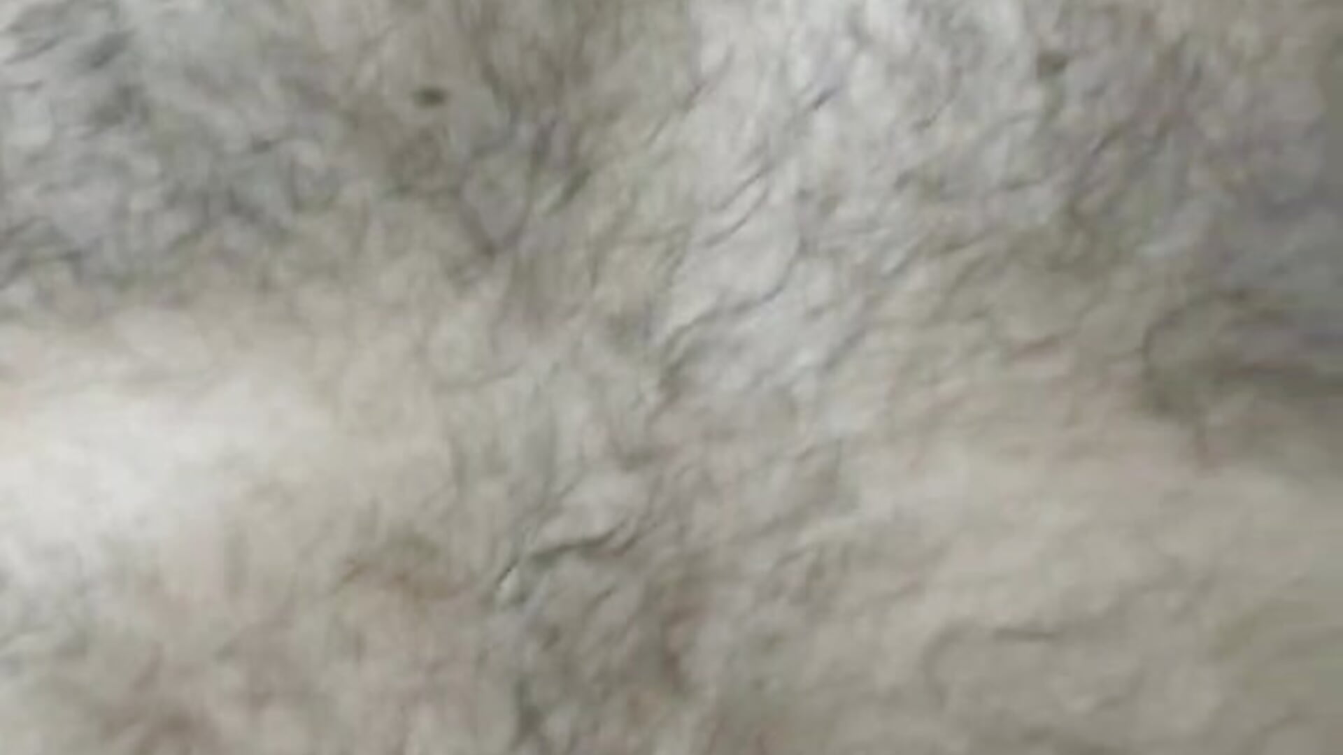 C4_1751121900289– Bulbasaurisme kameramodell videója