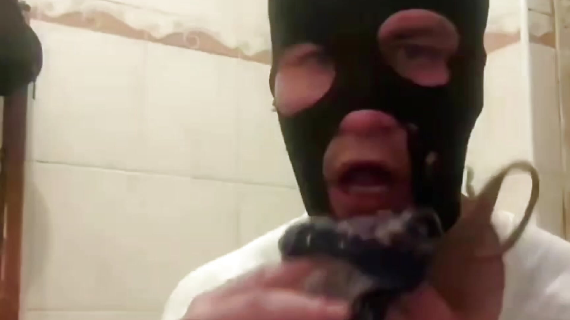 4471 - فيديو من Dima_shuum موديل الكام