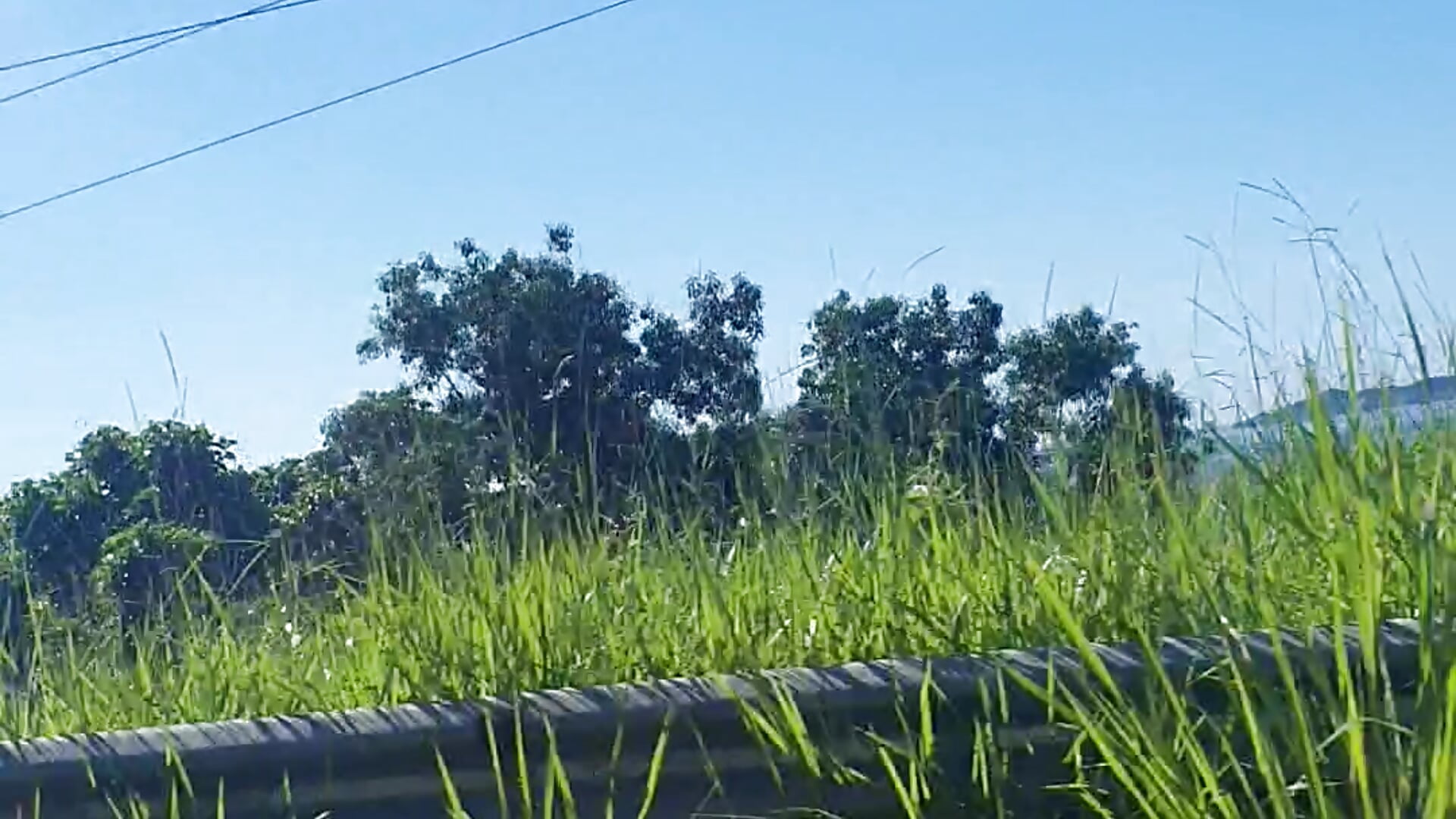 20260404_090556 - video by Fehmaluff