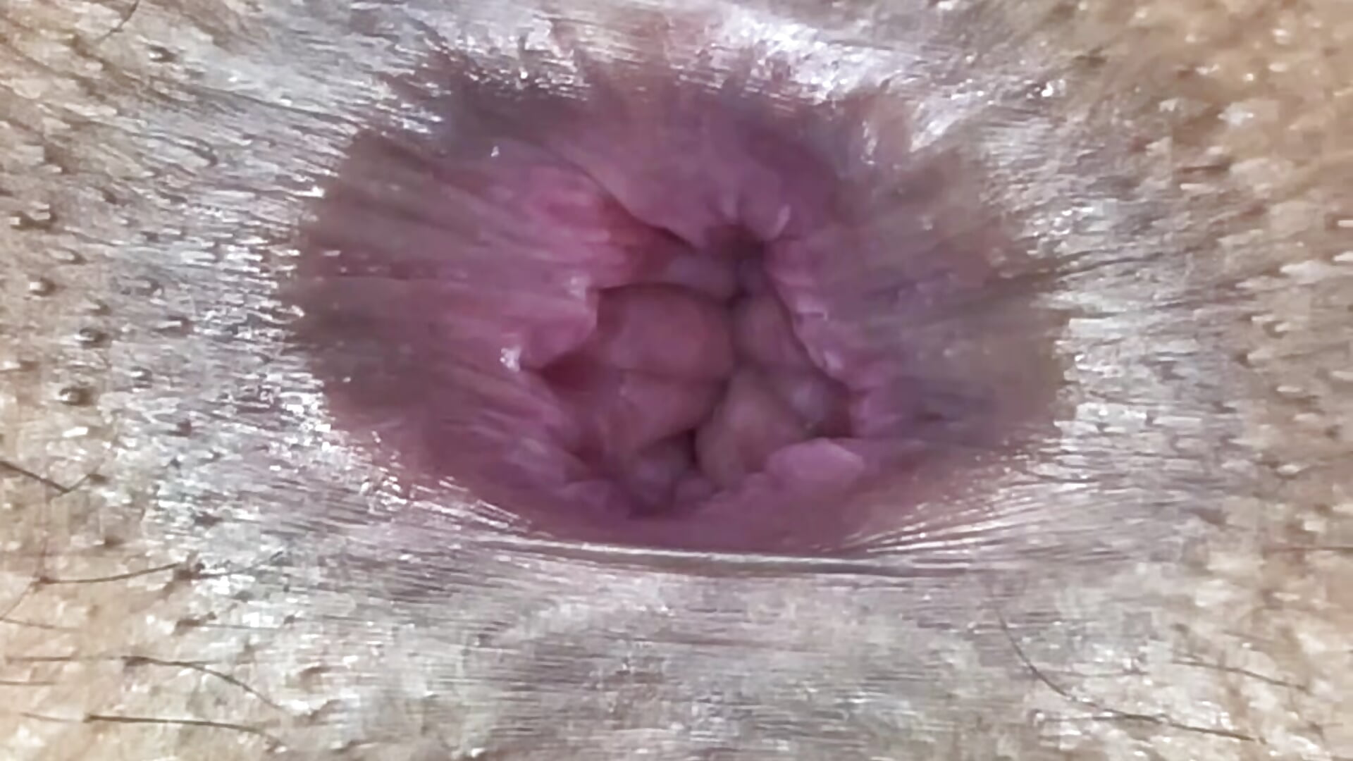 Gape Anal - video by brisazanes cam model