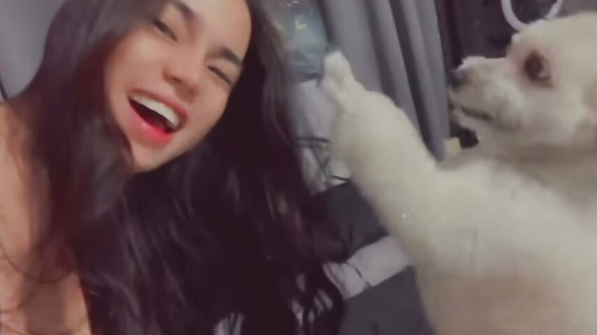 I ❤️ My Baby Primo 🐾🦴🐶 – video modela na kameri BigCockDominant_Trans