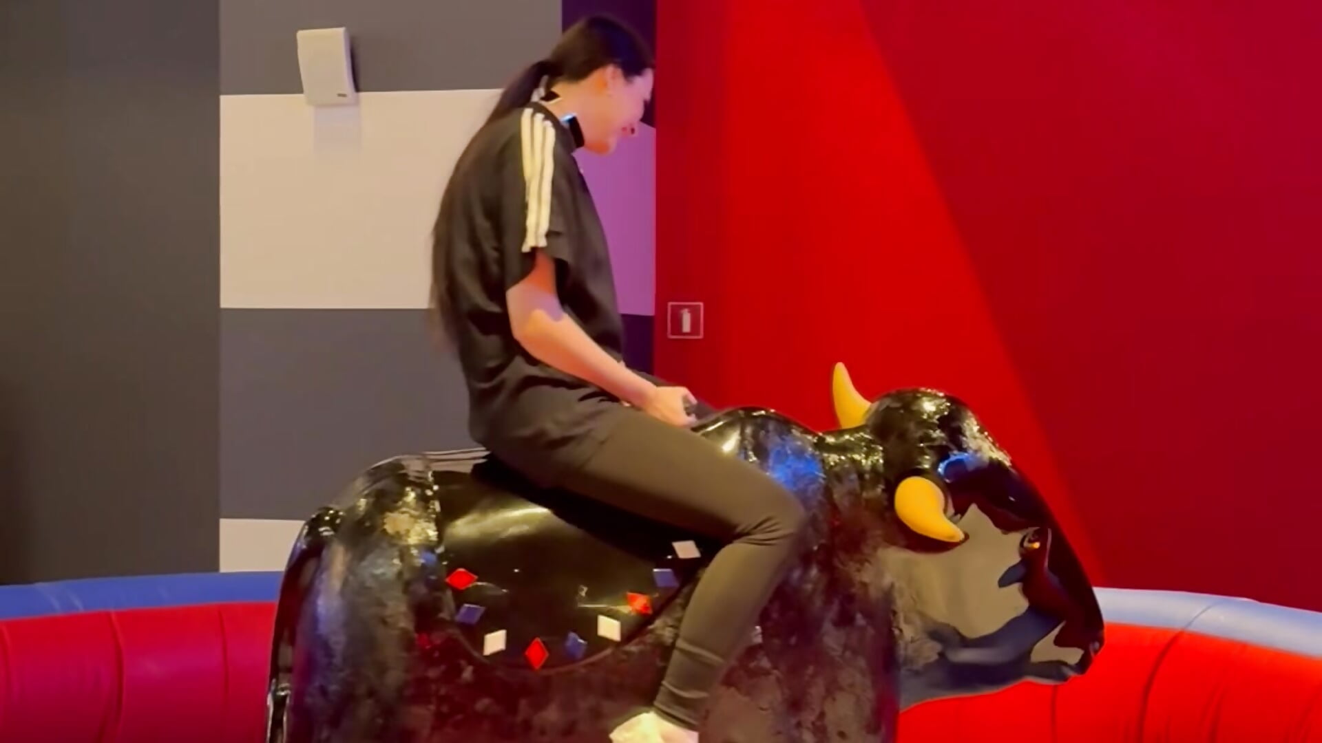Me vs bull 0:2 hahahahaha