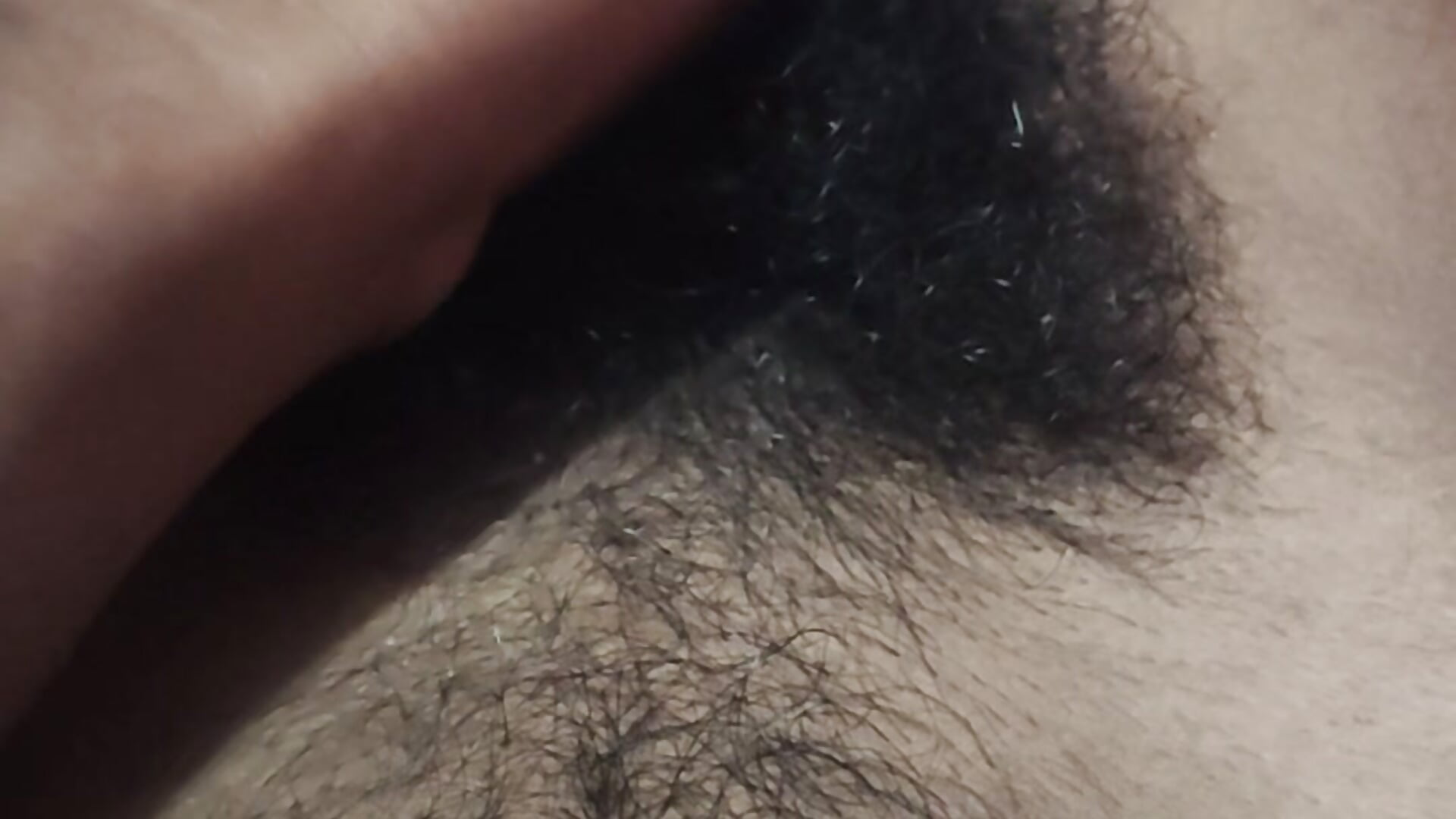 sexandfire00