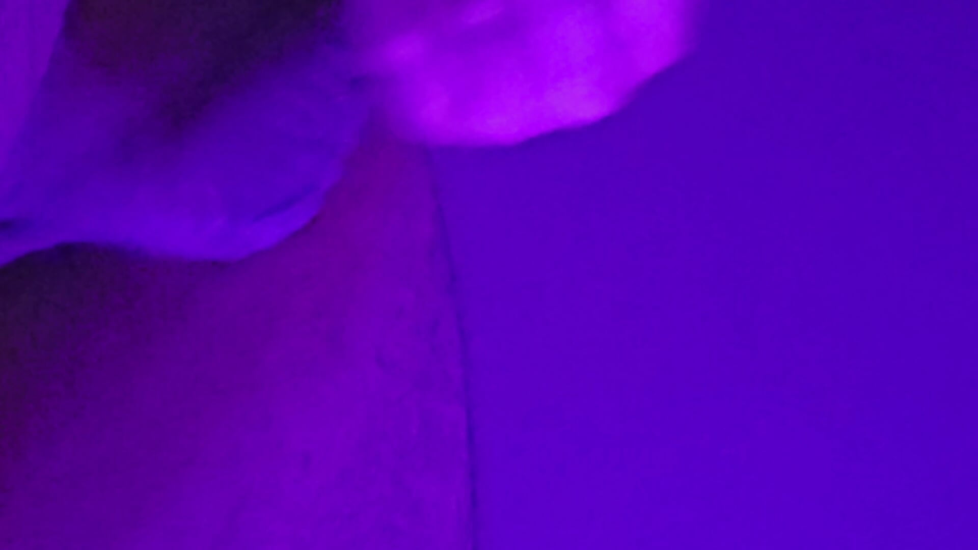 🟣－カメラキャストのsilenos35の動画