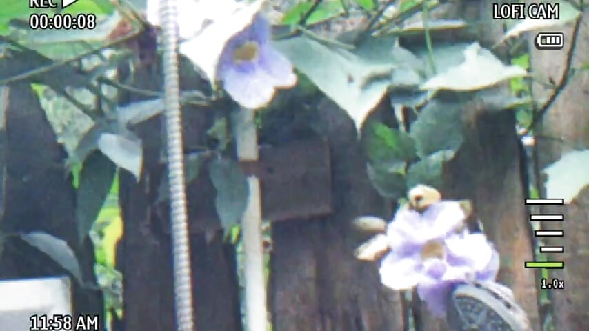 A sexy outdoor shower - βίντεο μοντέλου Mikasa-Ackerman