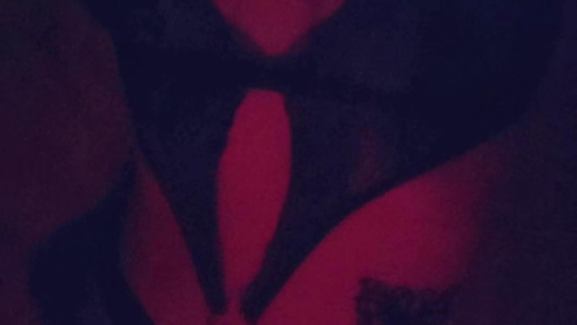 1000025615 - video by jesstherabbit cam model