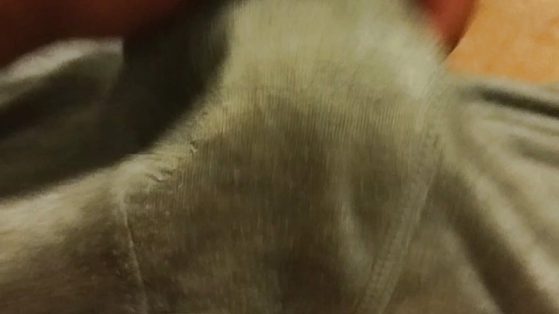 Mastürbasyon - Tolgareelvar adlı kamera modelinin videosu