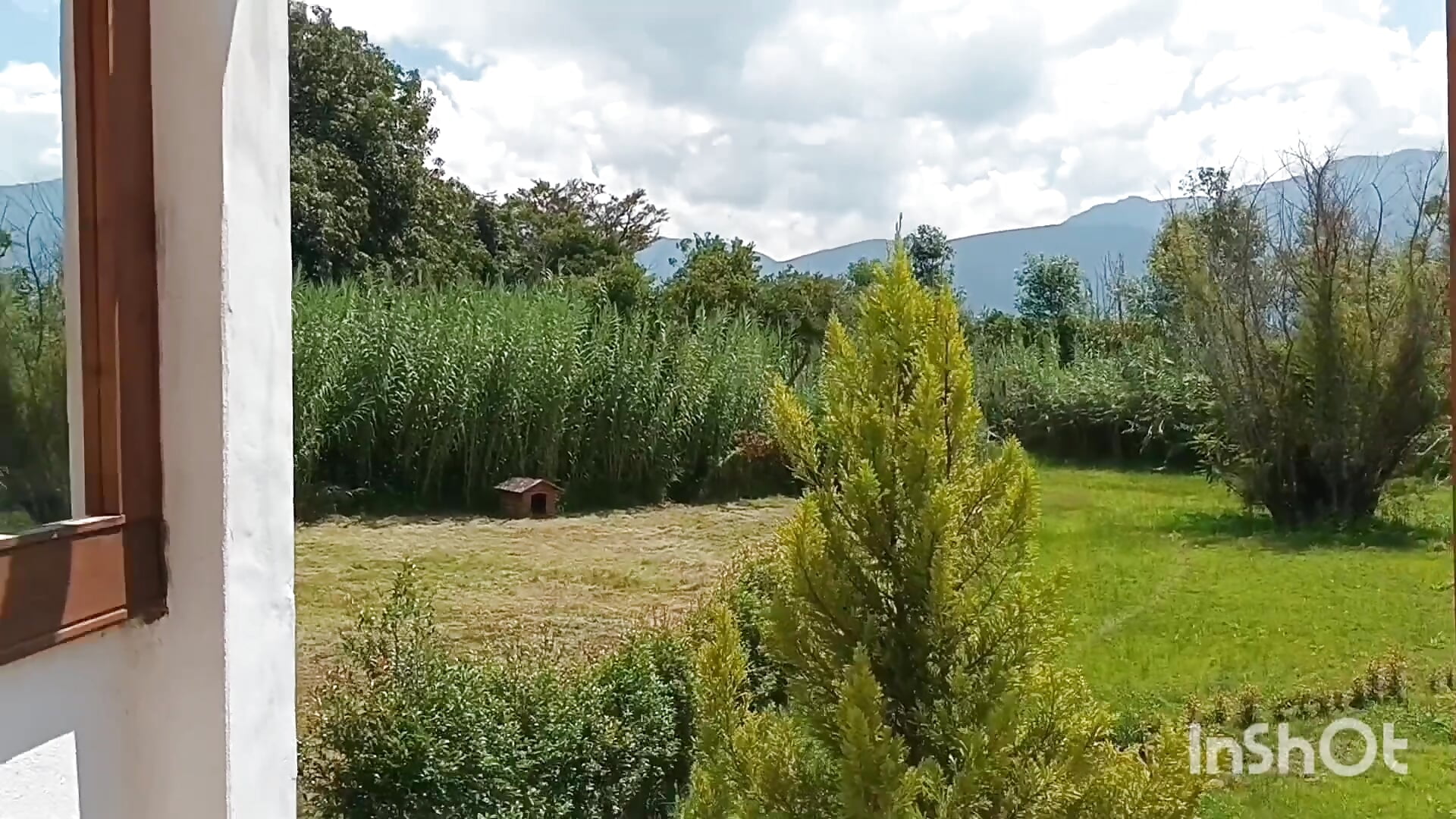 SEXO EN PISCINA  SEX IN THE POOL - video av _Alaskamisa