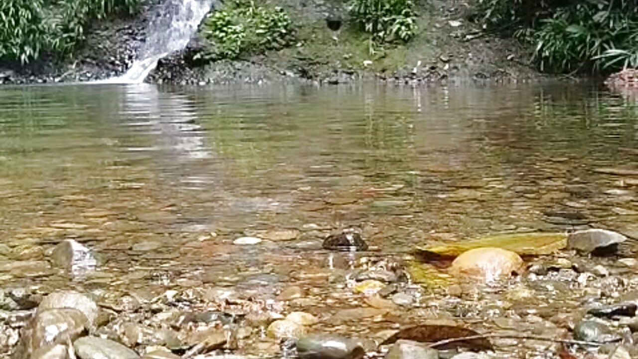 Entorno agradable 🏞️🌿 - vídeo de Kesurra modelo de câmara