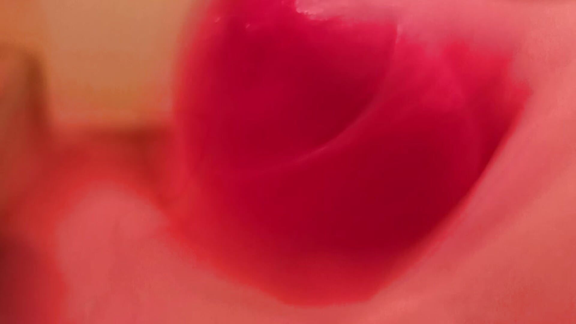 Longcock - video oleh model kamera longcock1989