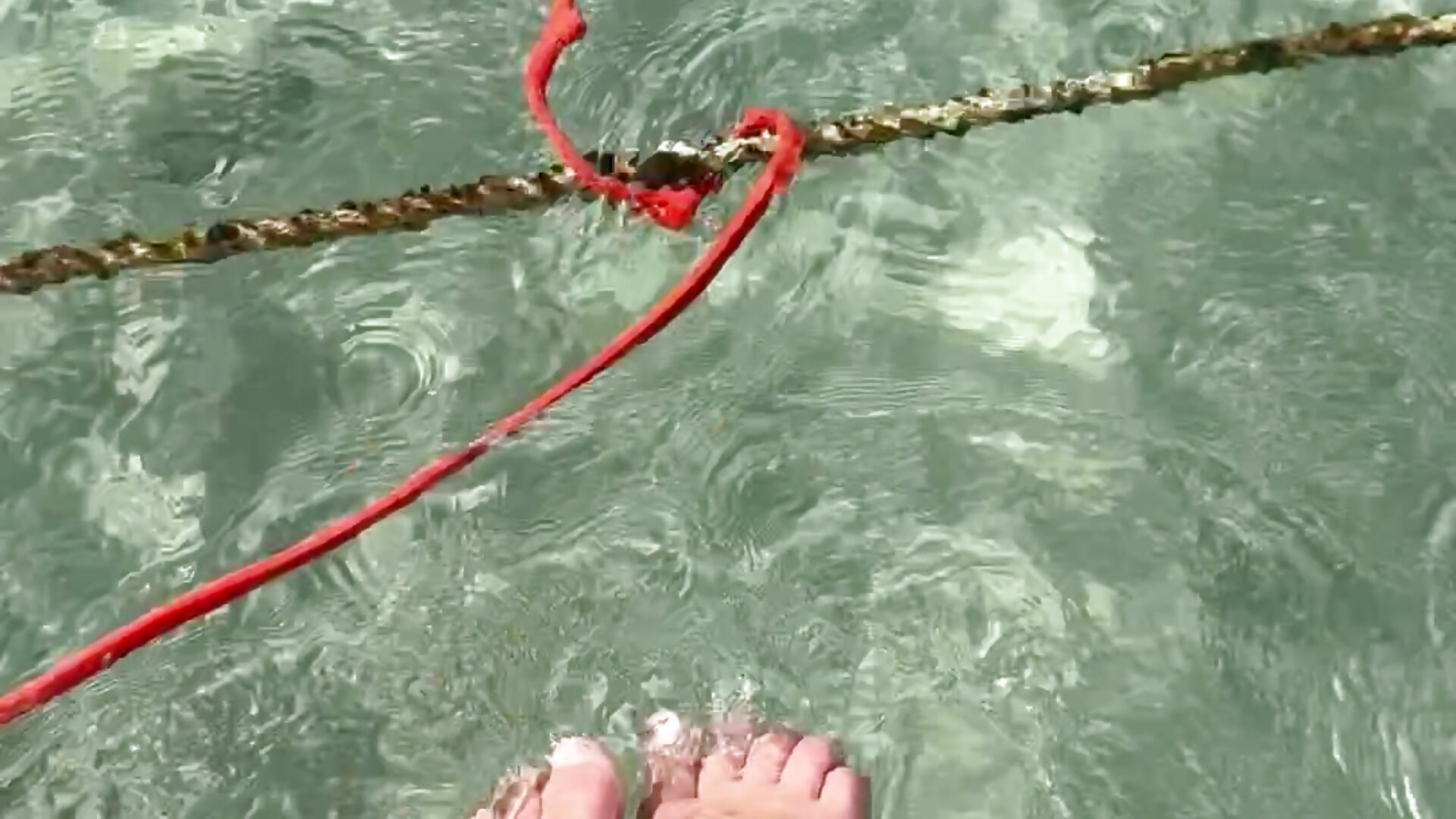 💦💦💦 - Zoe_Fisher主播的视频