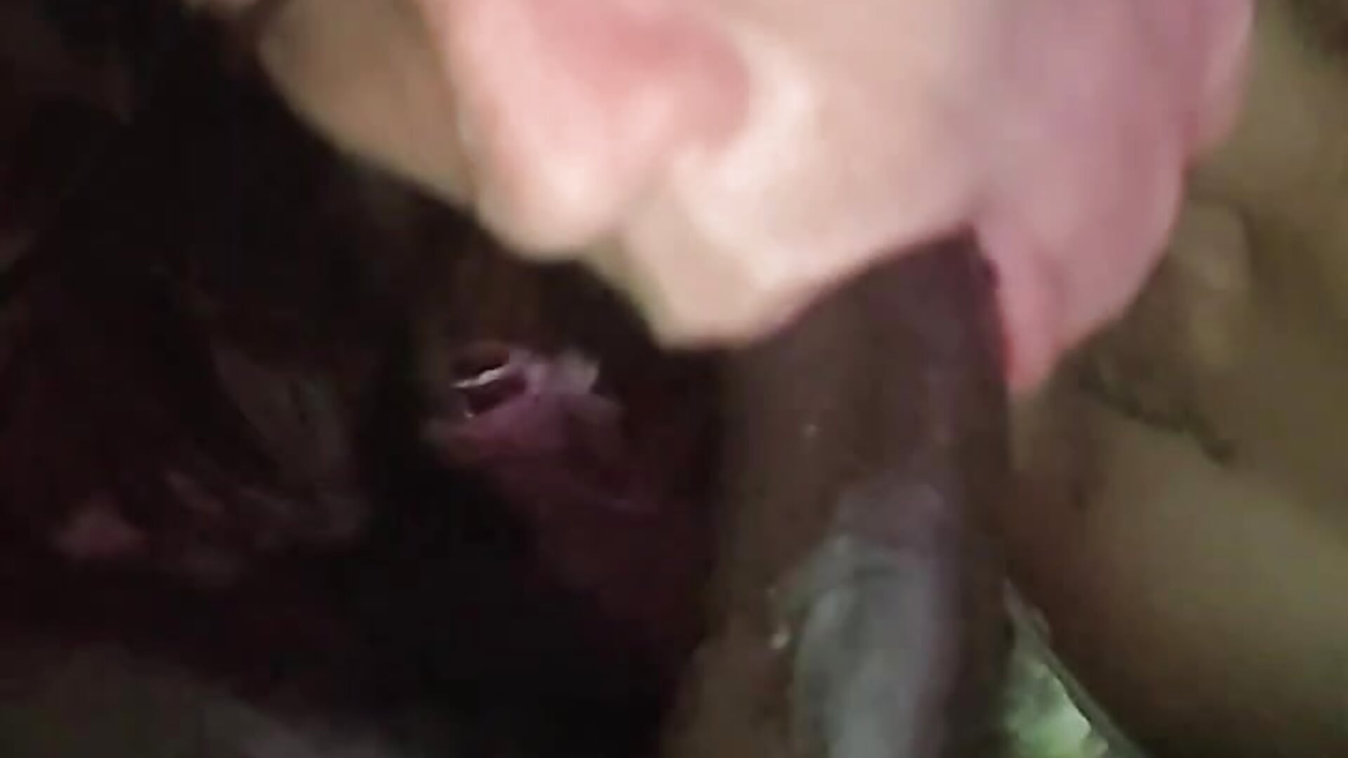 1000024112 - vídeo de Eimikuro11 modelo de câmara