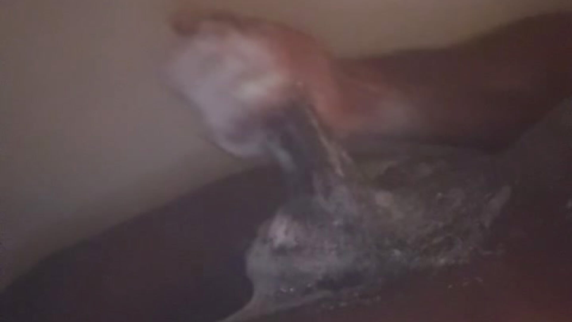 78C920CF-5CC9-4EBD-A81A-B190A09EA56B - video by ANDACONDA-PYTHON cam model