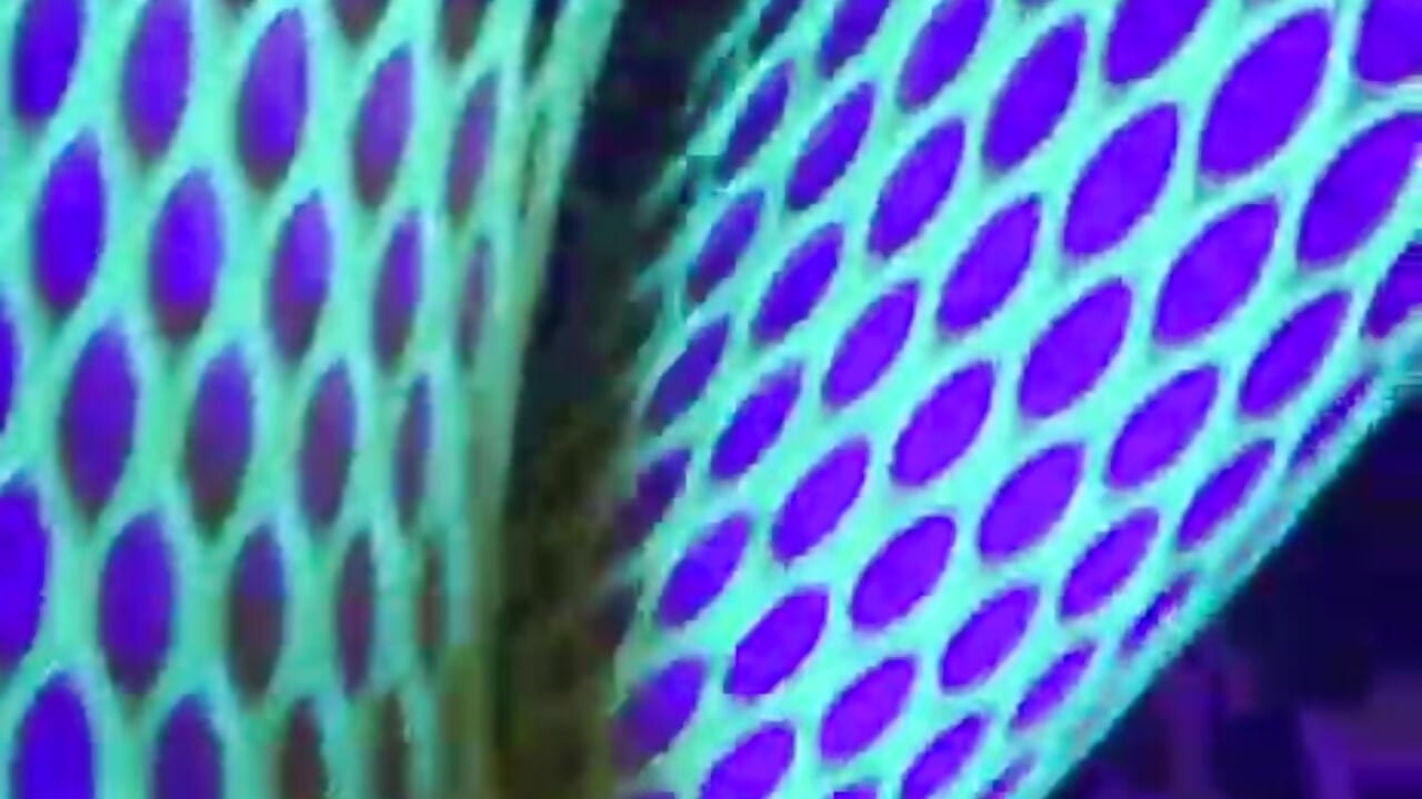 profile-intro-video-1755318450 - video by NikkyyRed cam model